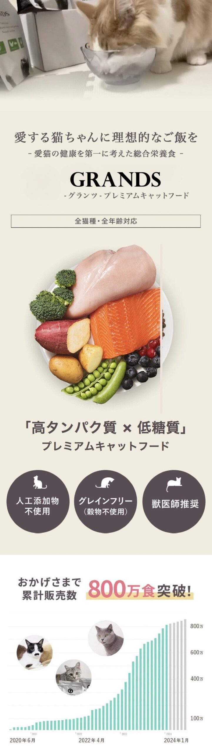 愛する猫ちゃんに理想的なご飯を