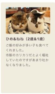 お客様の声１