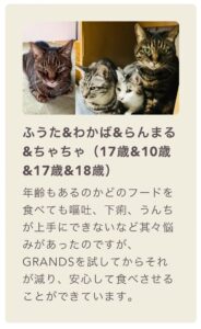 お客様の声２
